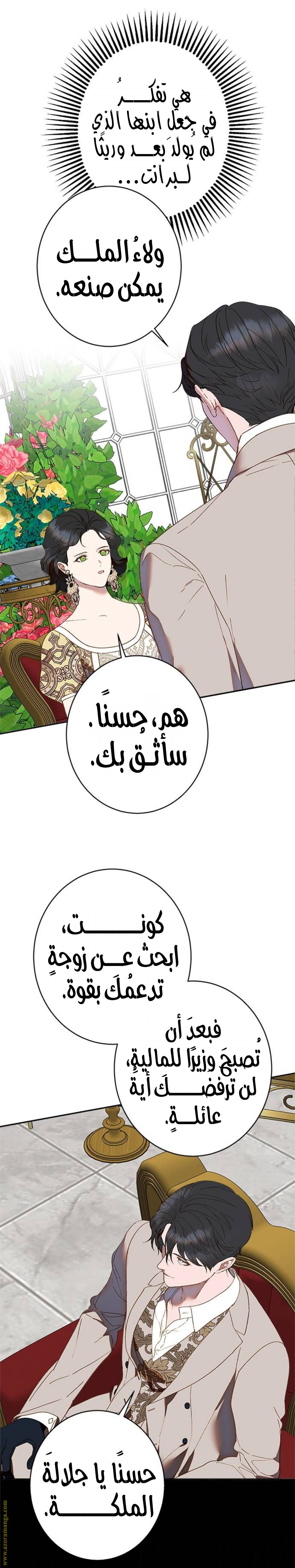 الصفحة 26