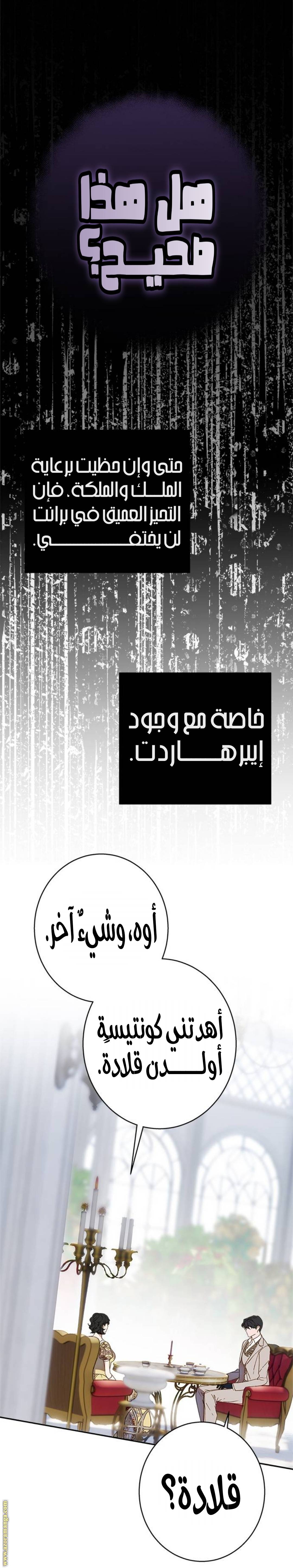 الصفحة 27