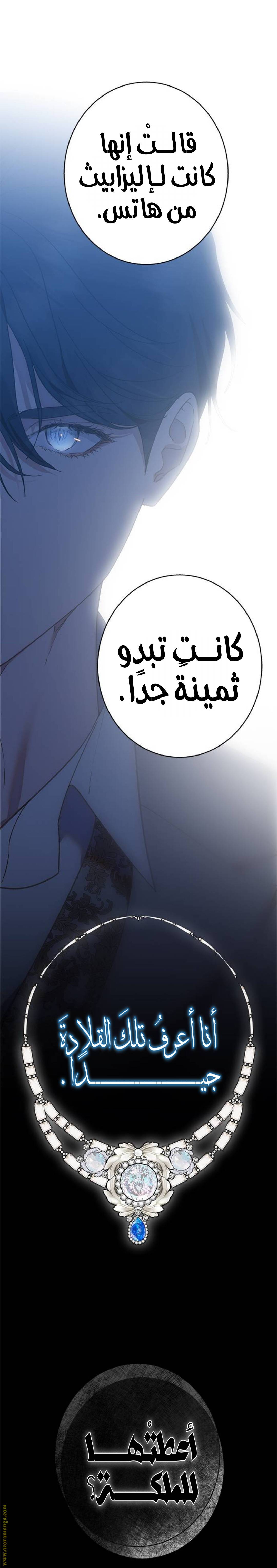 الصفحة 28