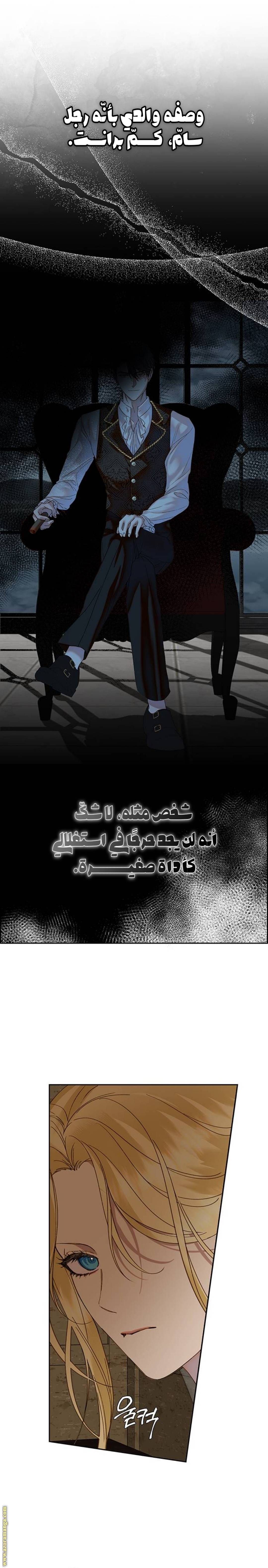 الصفحة 15
