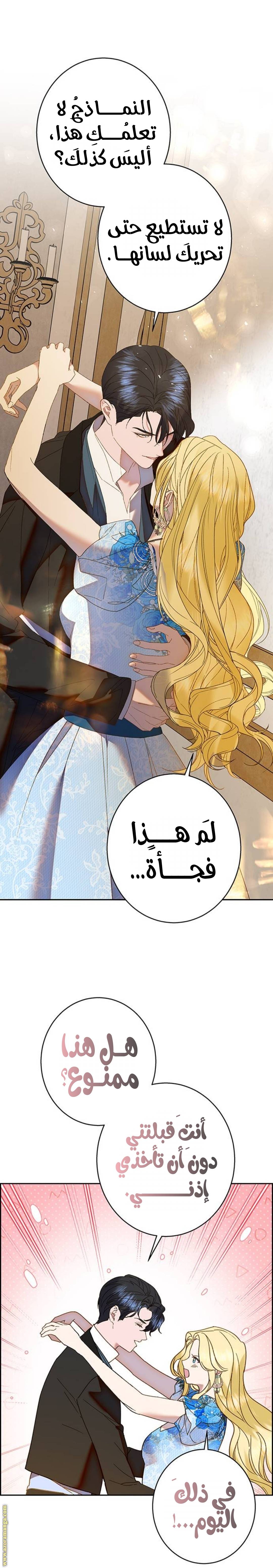 الصفحة 5