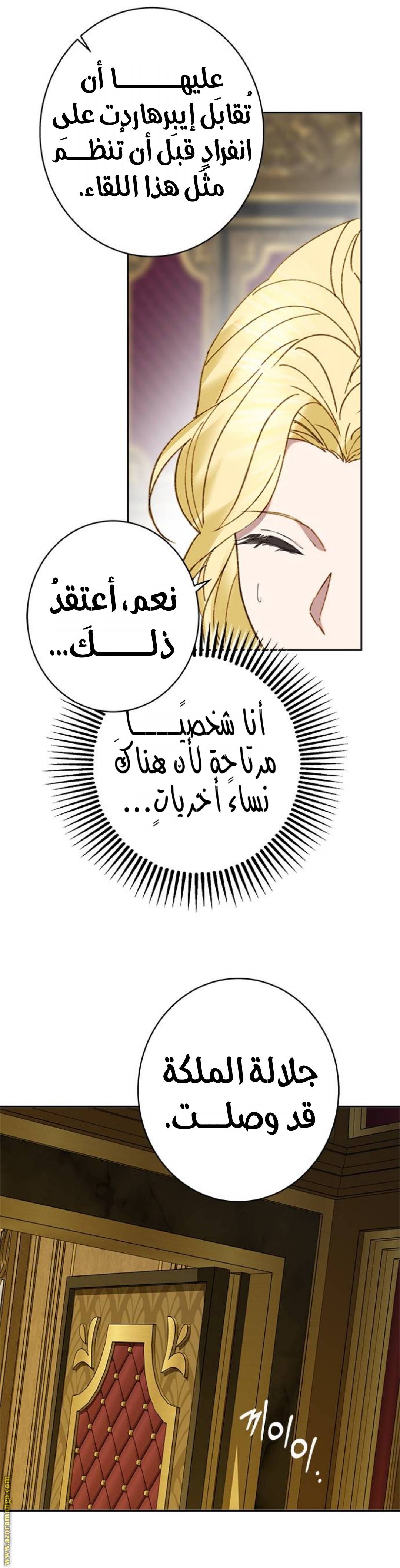 الصفحة 29