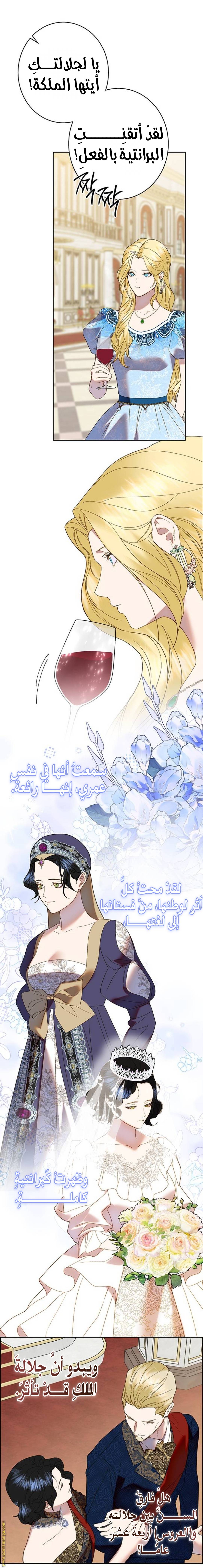 الصفحة 20