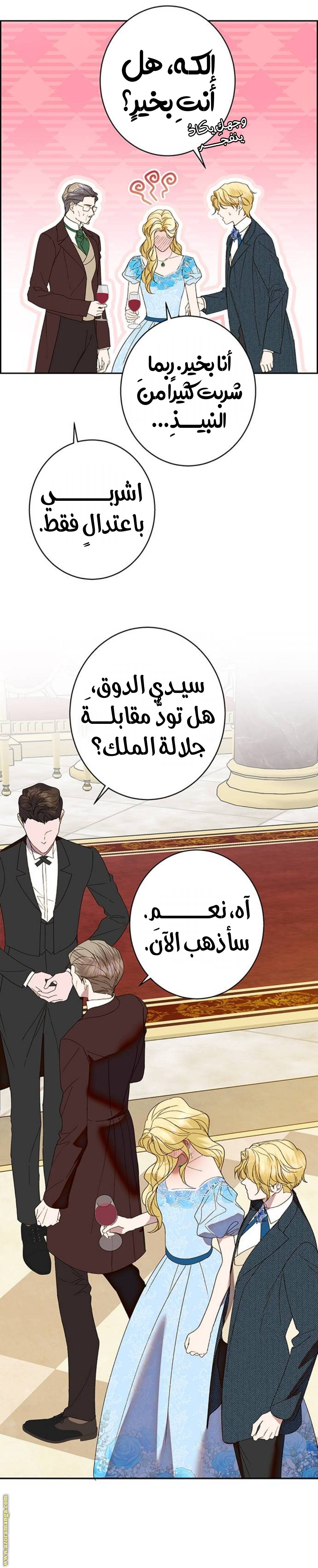 الصفحة 24