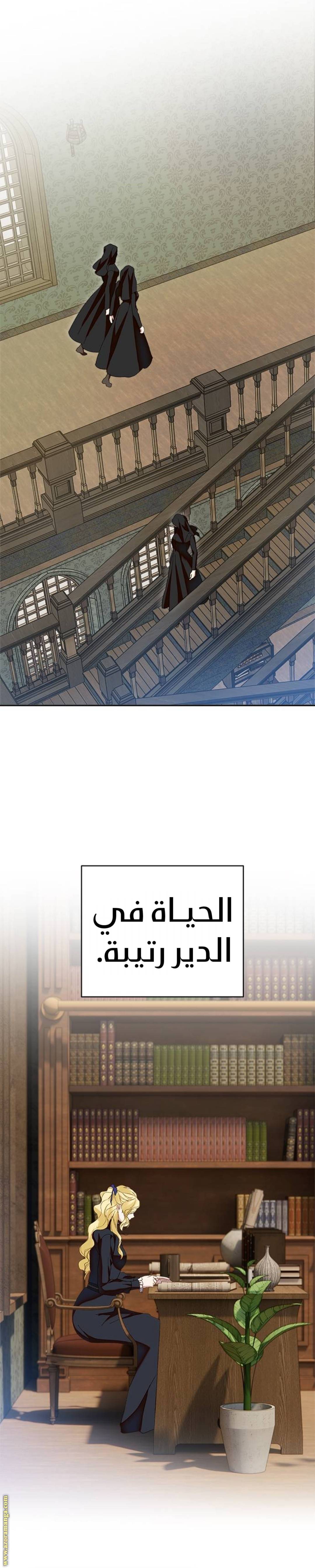 الصفحة 13