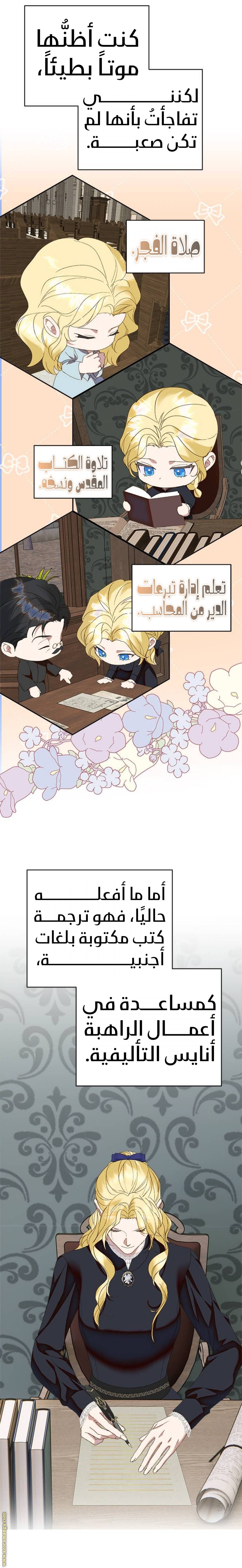 الصفحة 14