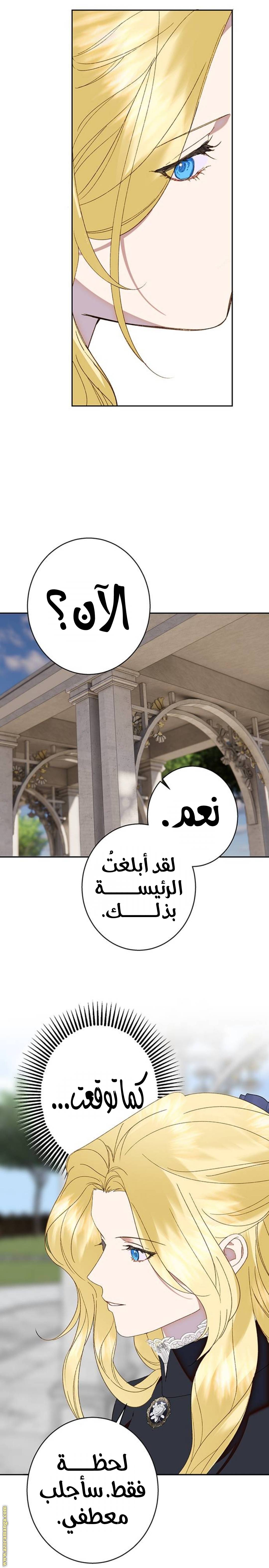 الصفحة 23