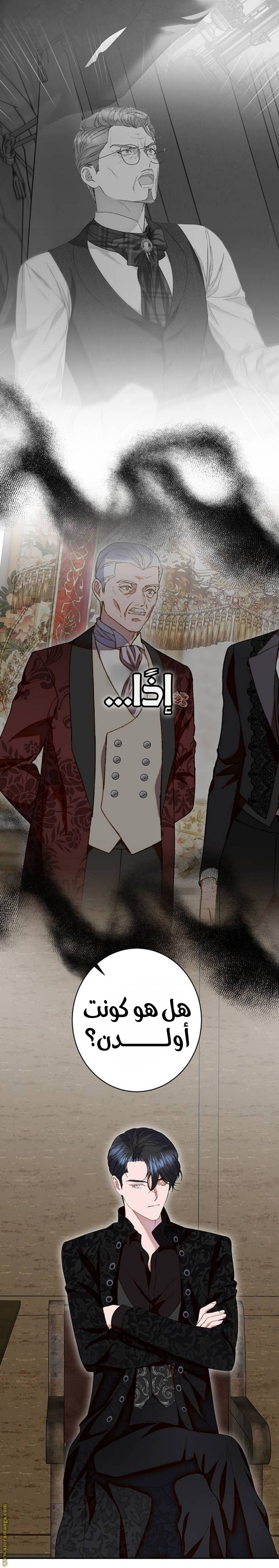 الصفحة 17