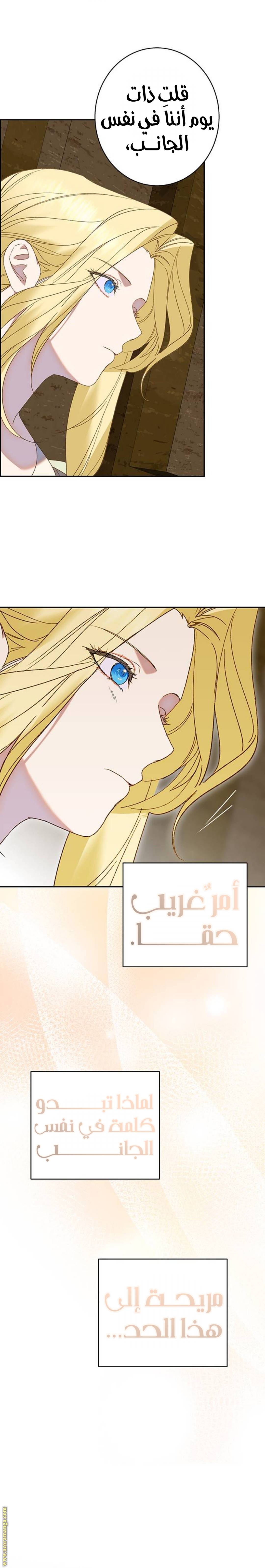الصفحة 19