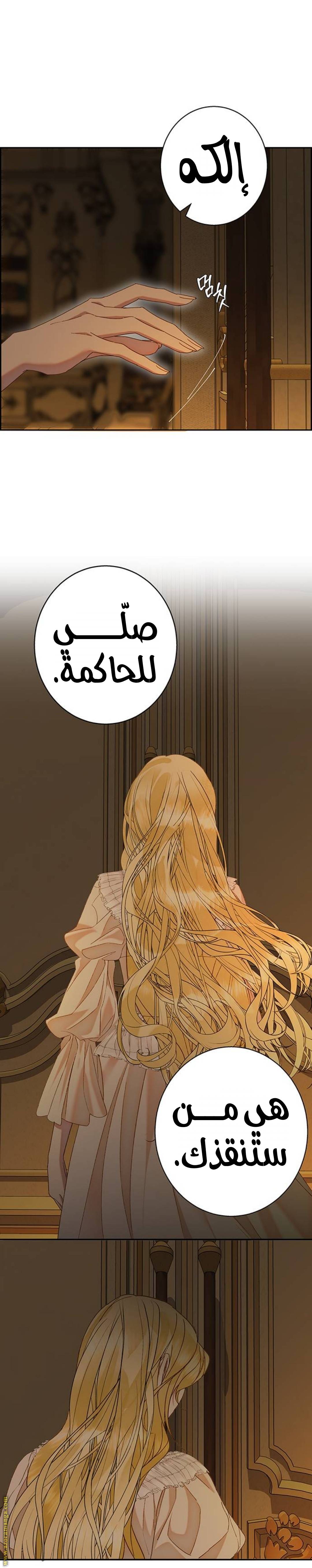 الصفحة 19