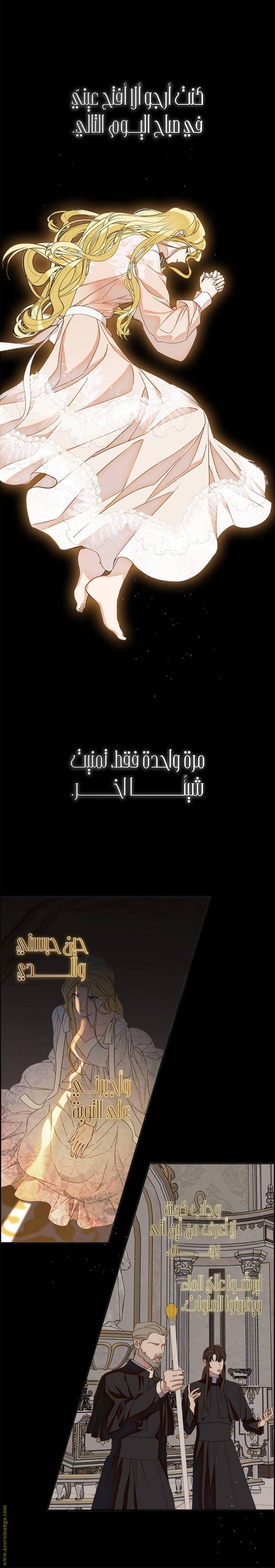 الصفحة 21