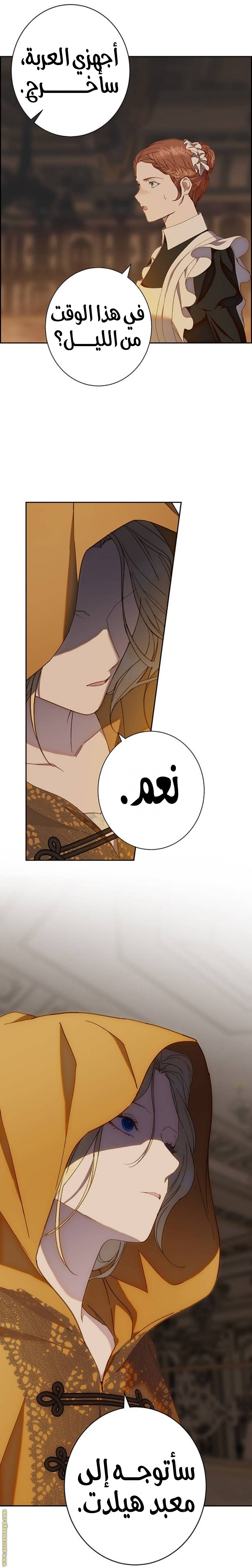الصفحة 25