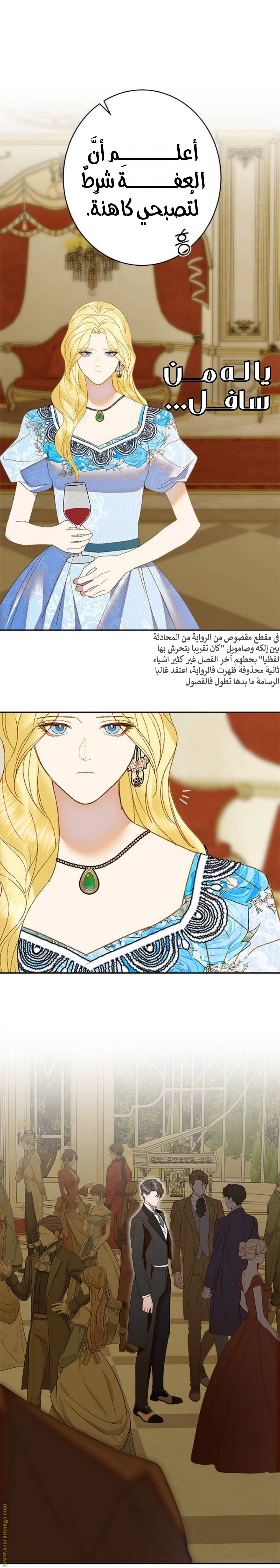 الصفحة 17
