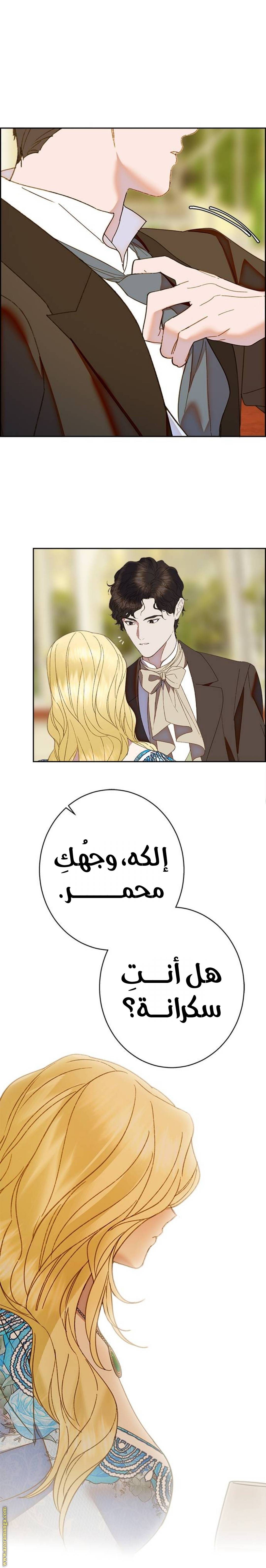 الصفحة 19