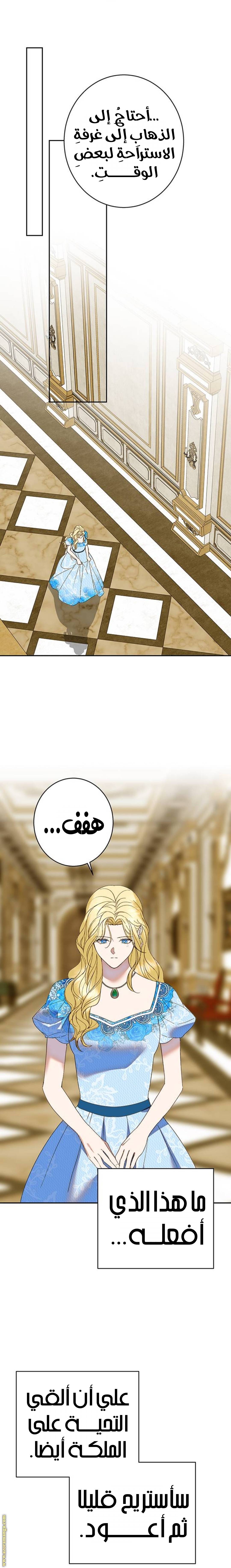 الصفحة 20