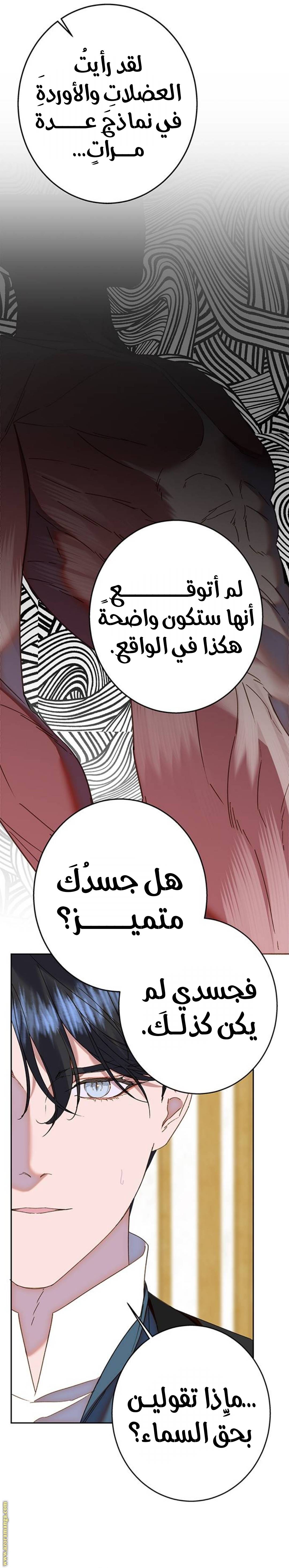 الصفحة 27