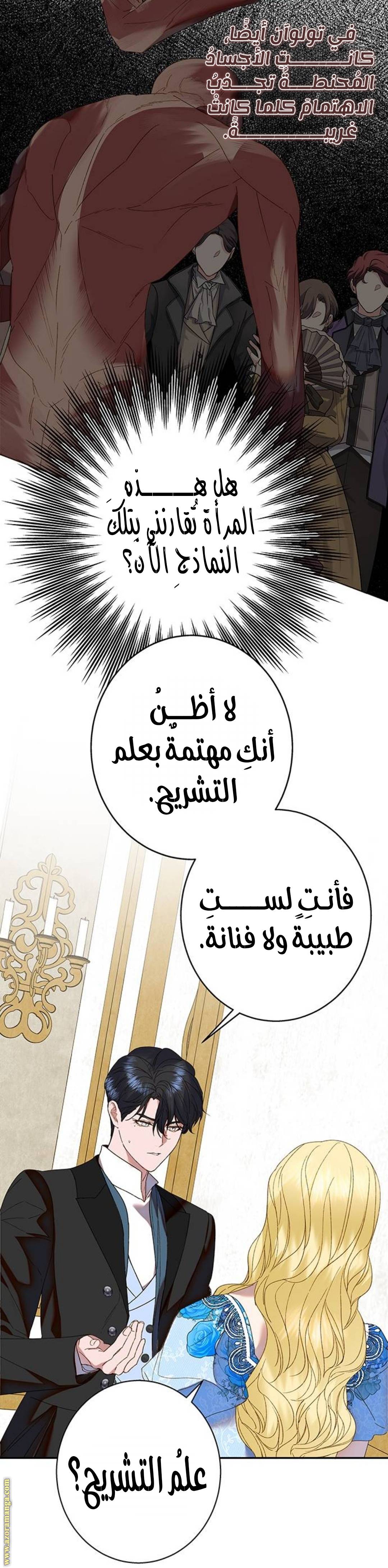 الصفحة 29