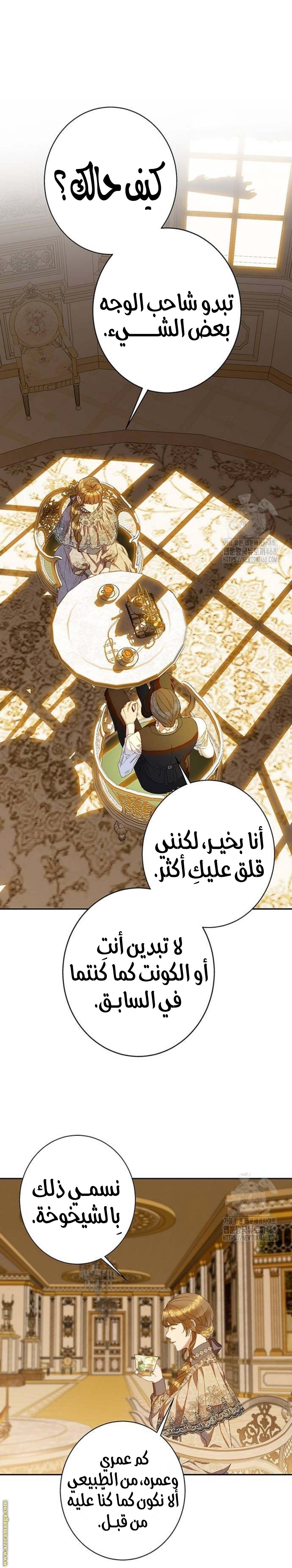 الصفحة 14