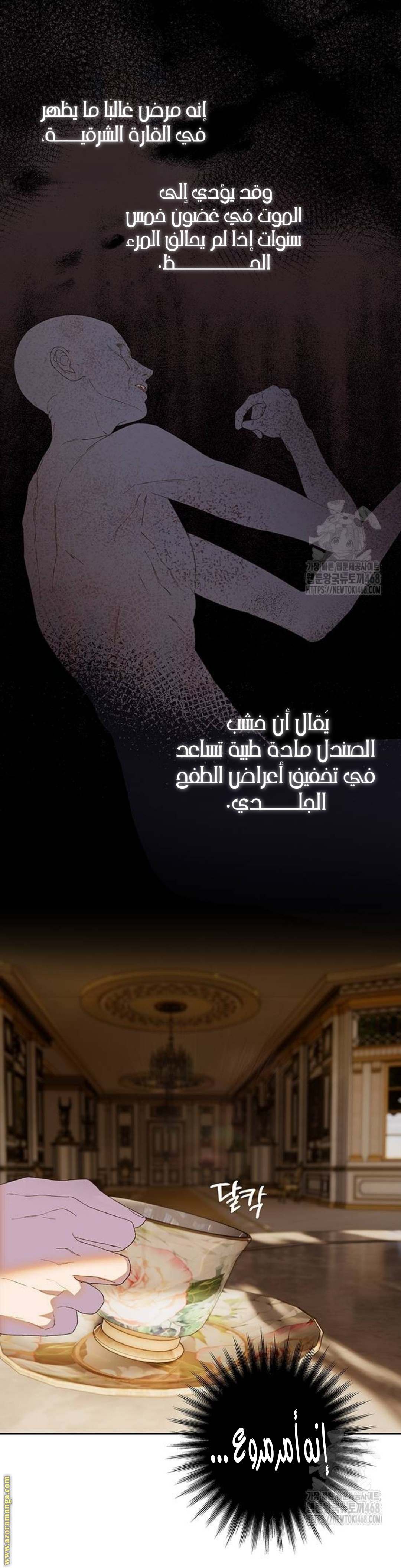 الصفحة 17