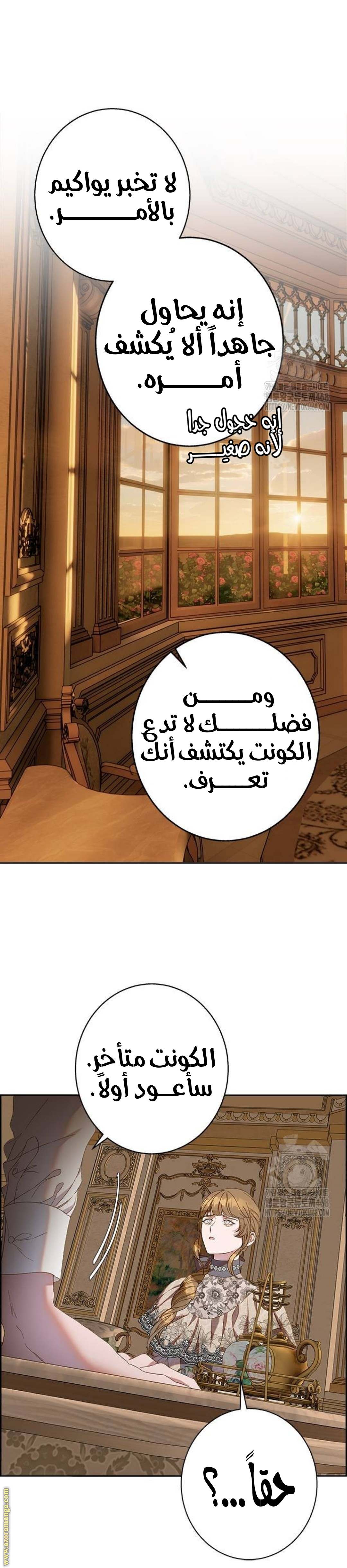 الصفحة 27