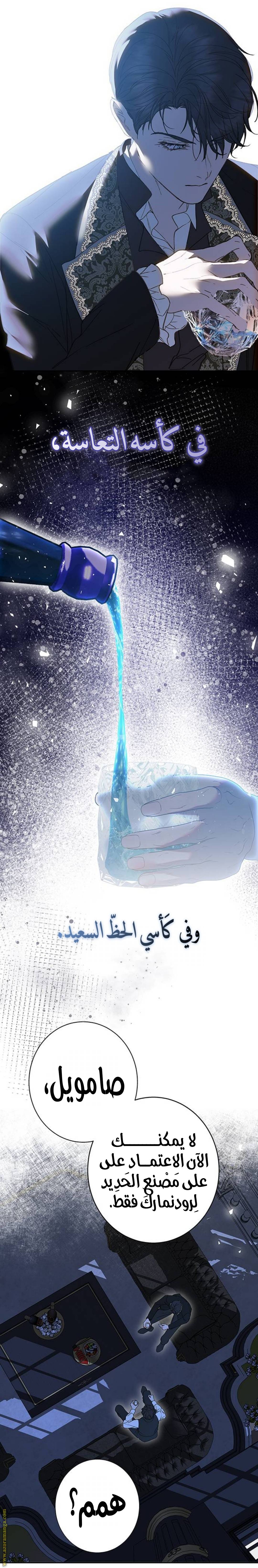 الصفحة 17