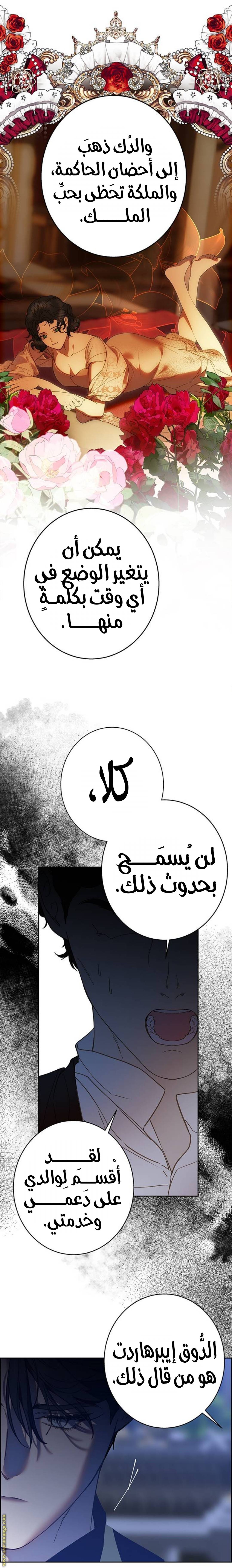 الصفحة 19