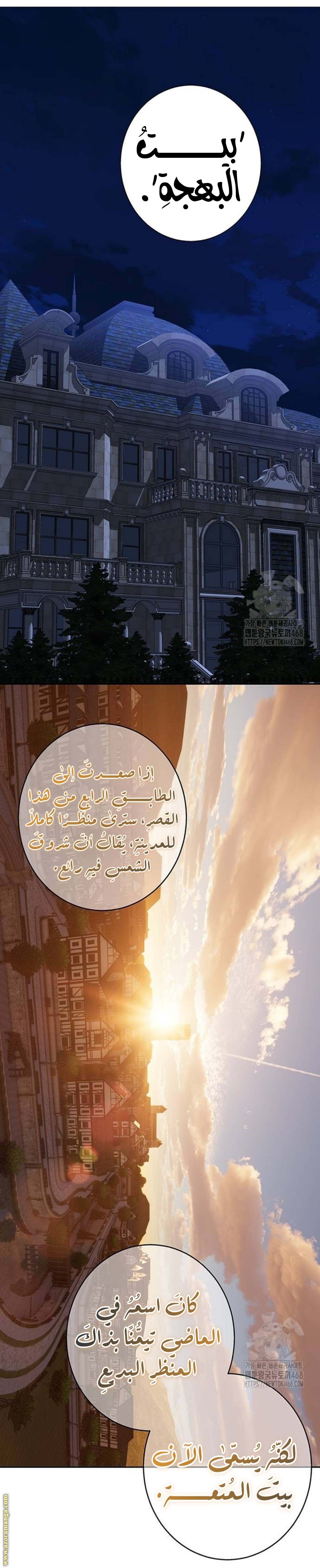 الصفحة 21