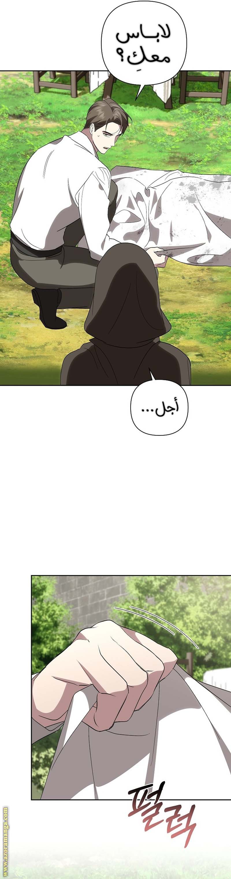 الصفحة 13