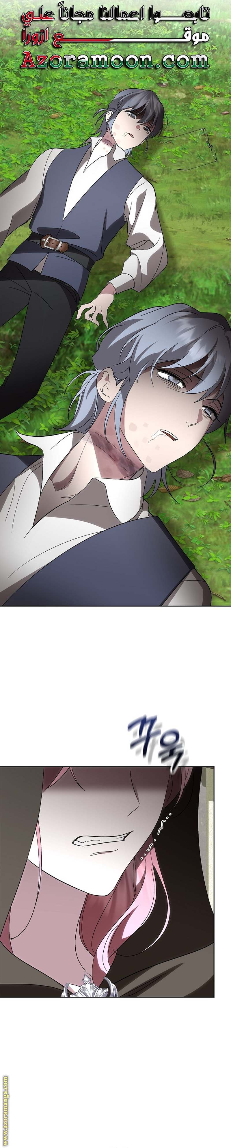الصفحة 14