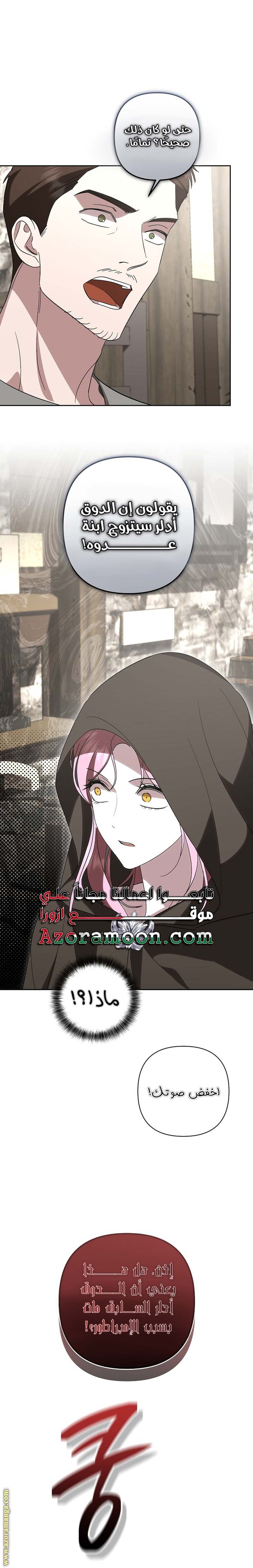 الصفحة 25