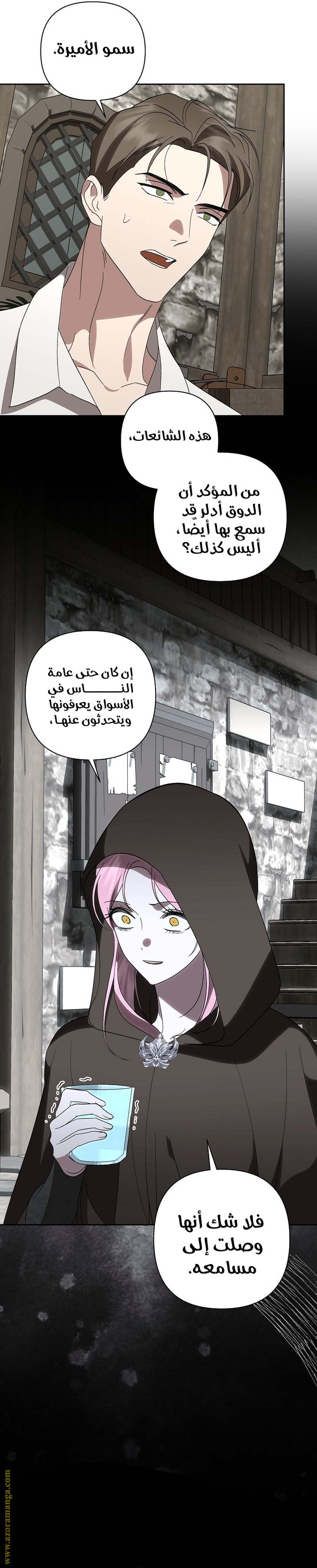 الصفحة 28