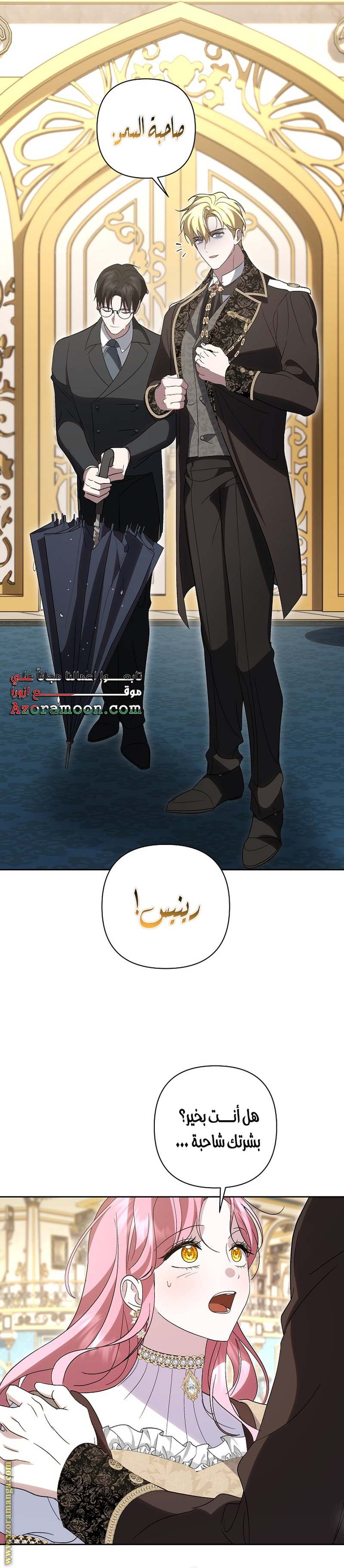 الصفحة 11