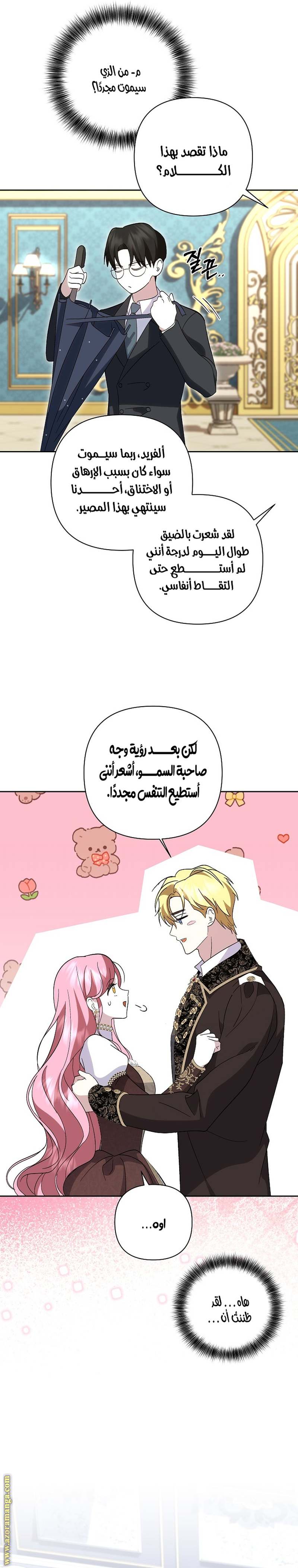 الصفحة 13