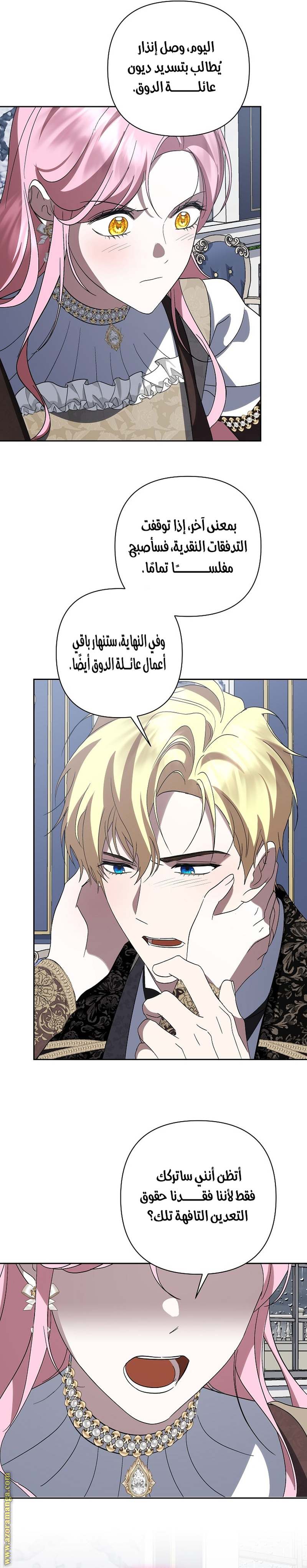 الصفحة 17