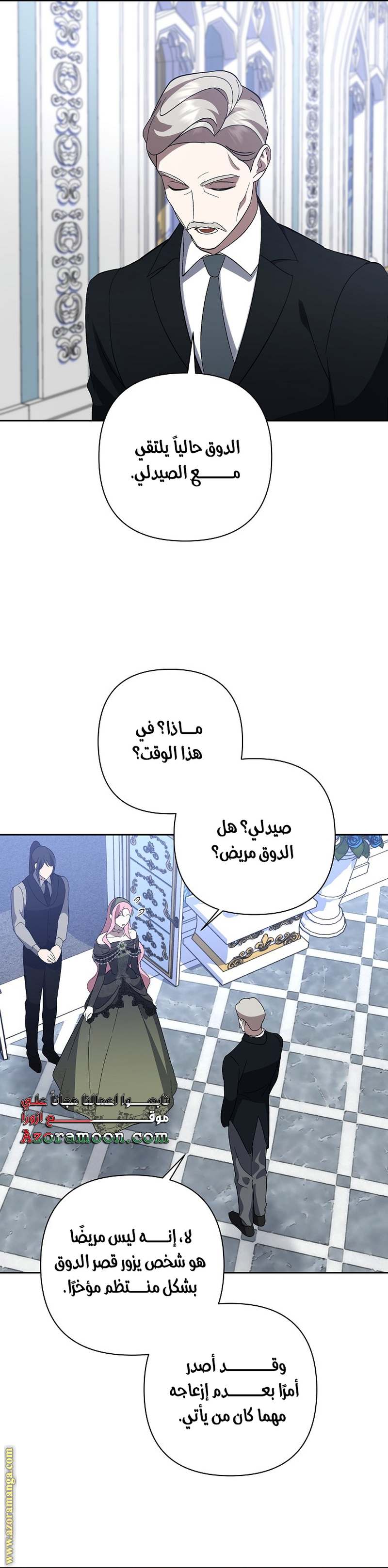 الصفحة 25