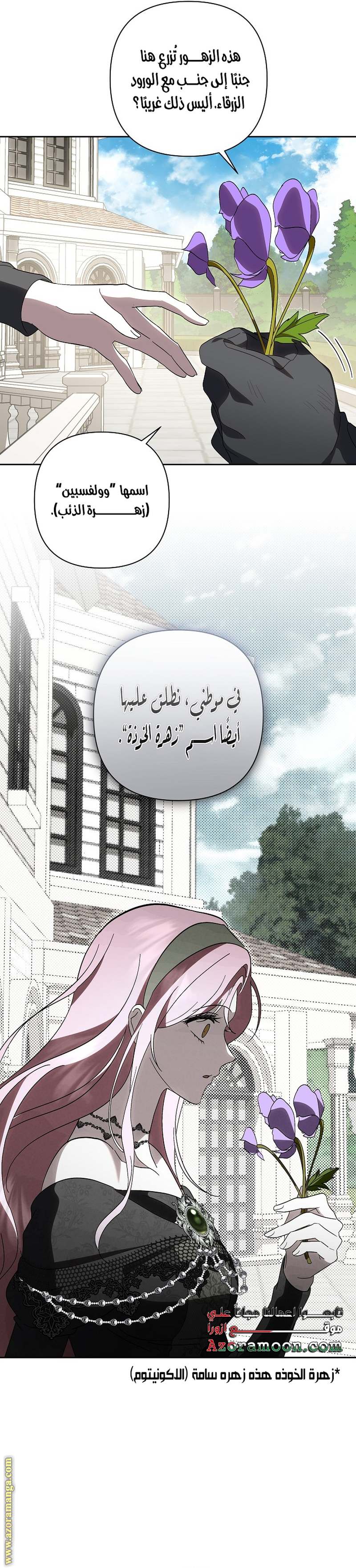 الصفحة 29
