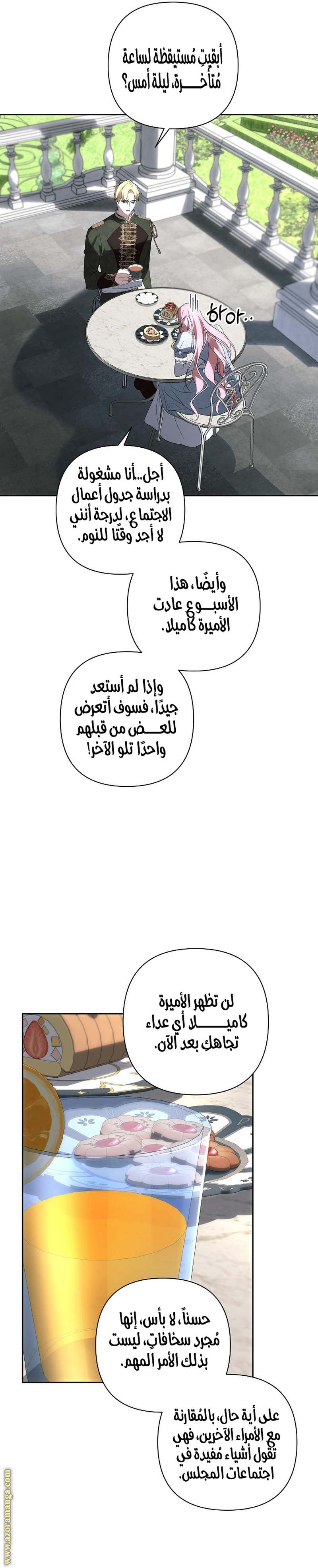الصفحة 3