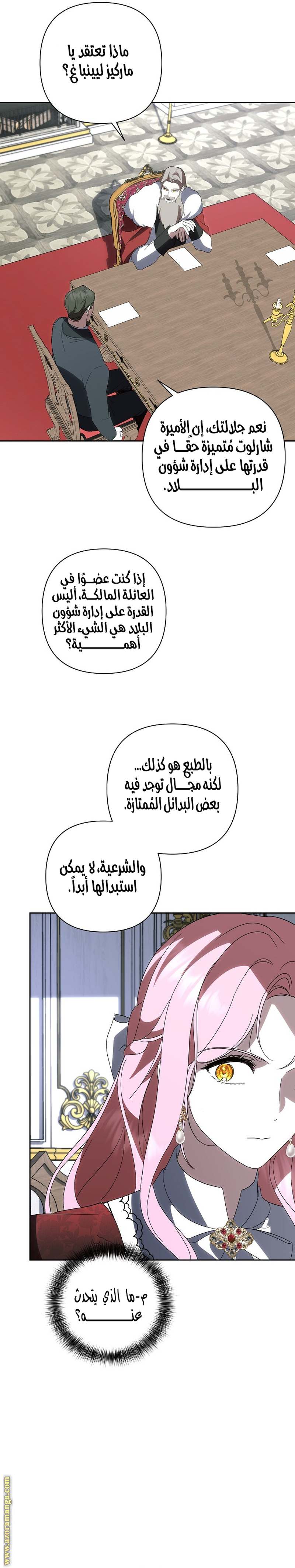 الصفحة 27