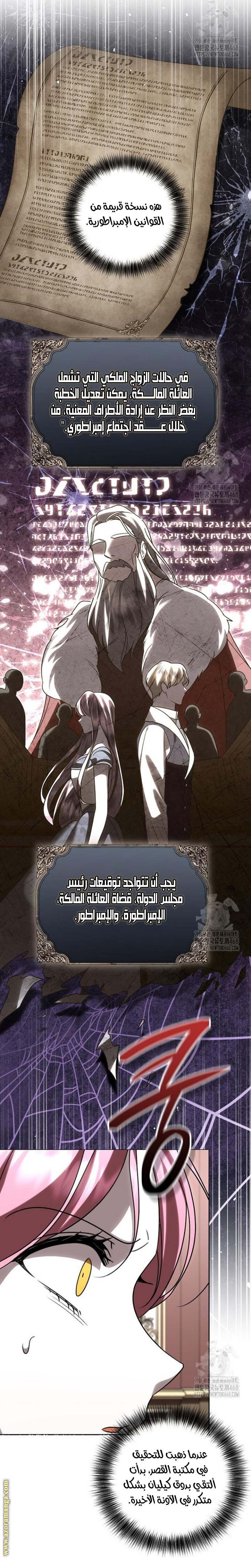 الصفحة 17
