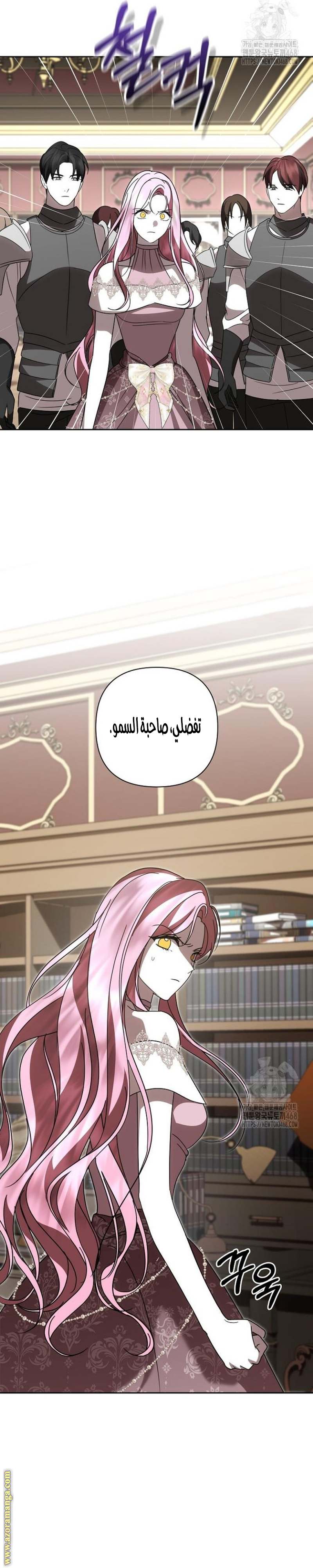 الصفحة 19