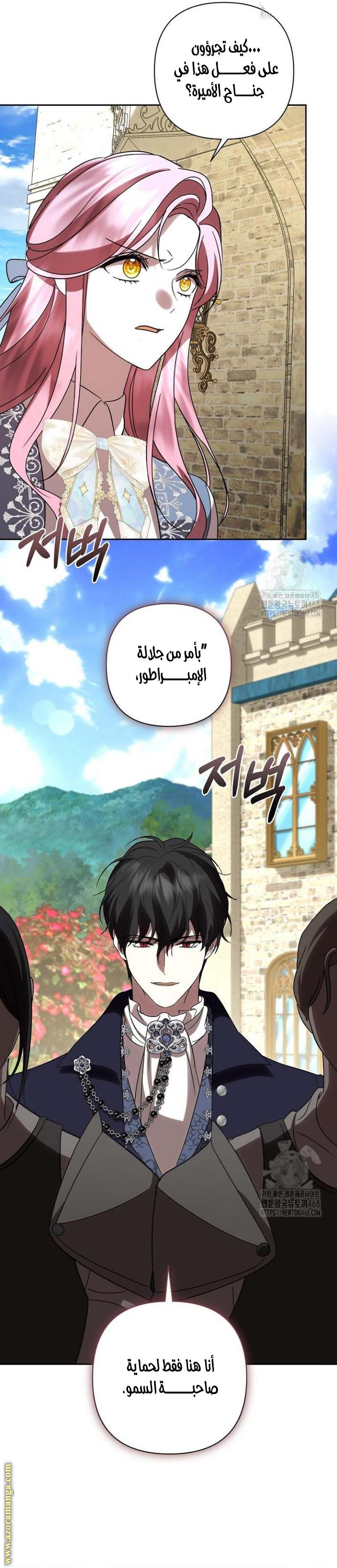 الصفحة 25