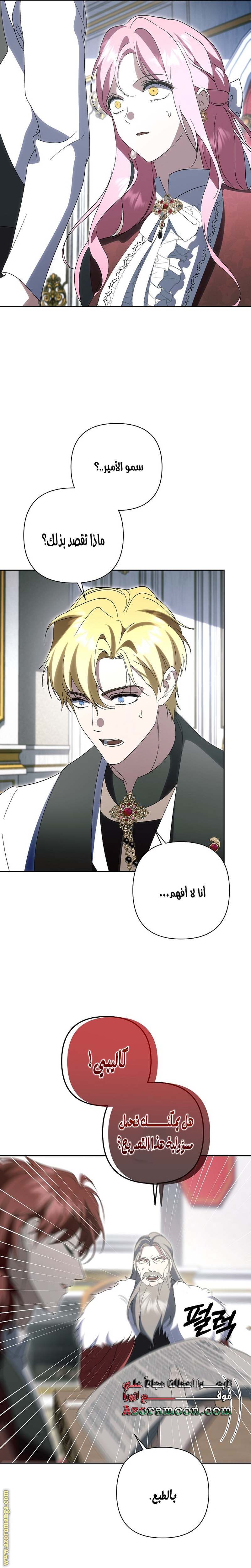 الصفحة 15