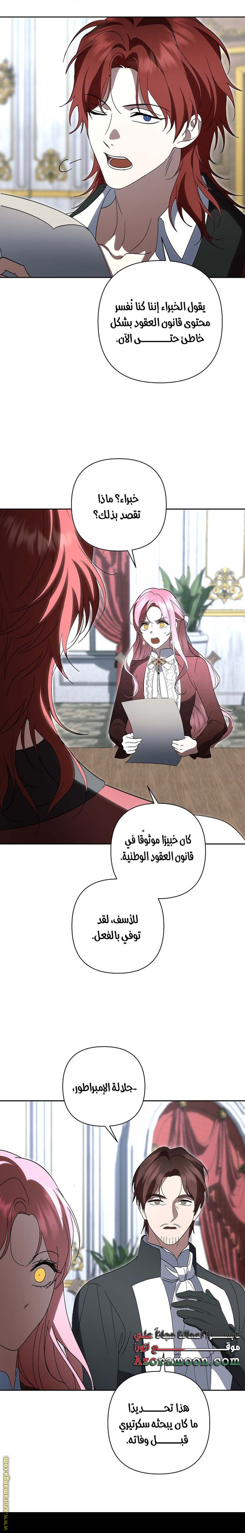 الصفحة 17