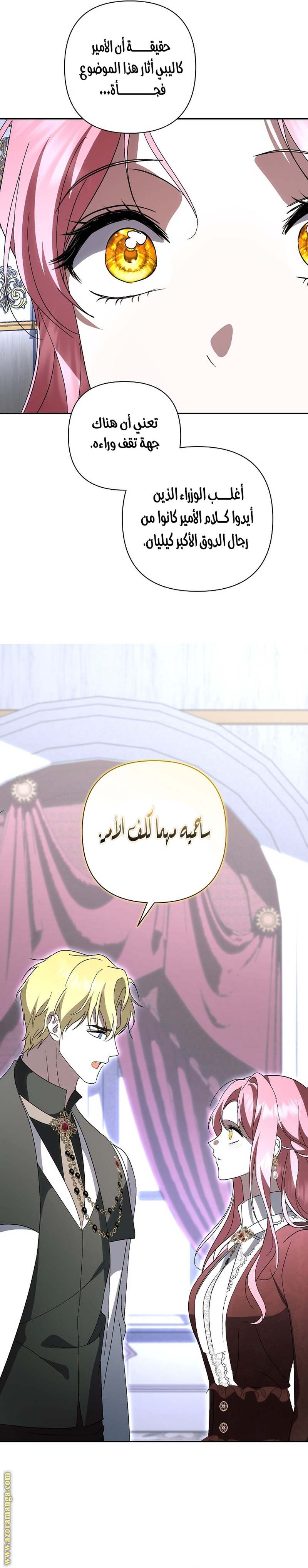 الصفحة 24