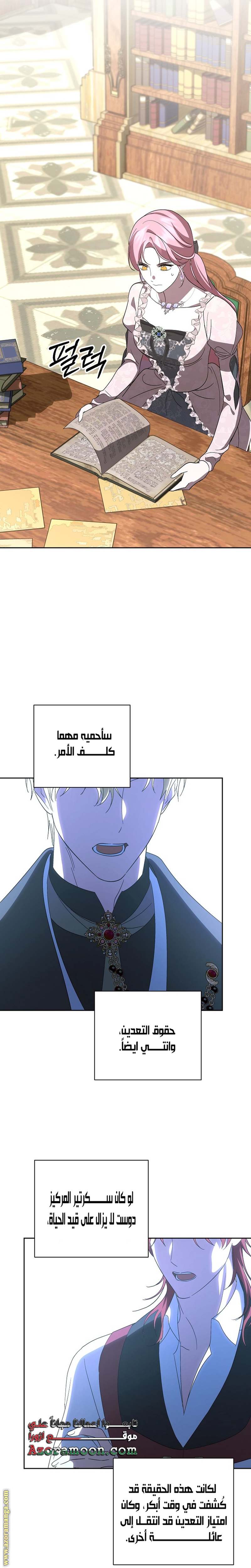 الصفحة 27
