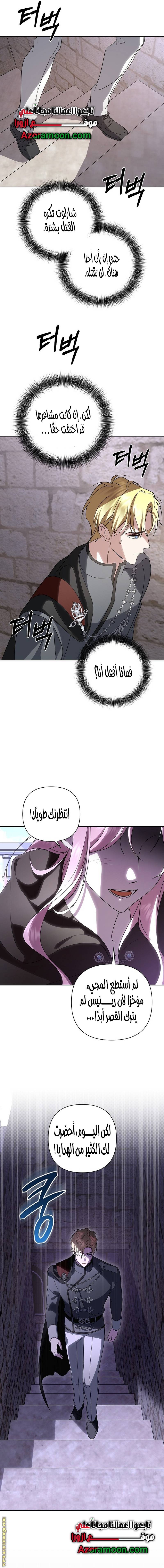 الصفحة 14