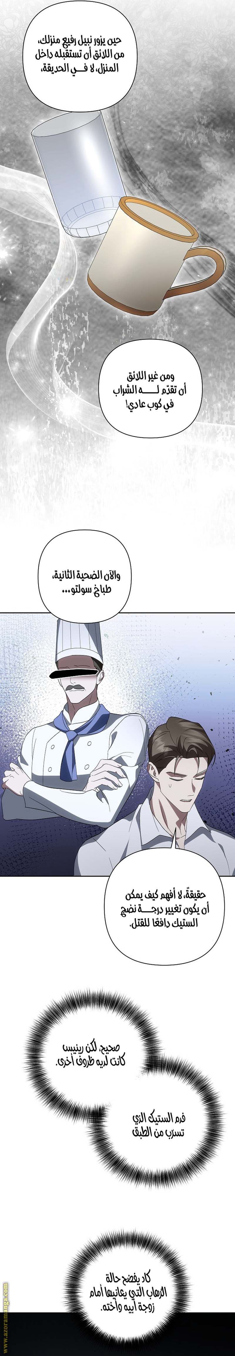 الصفحة 14