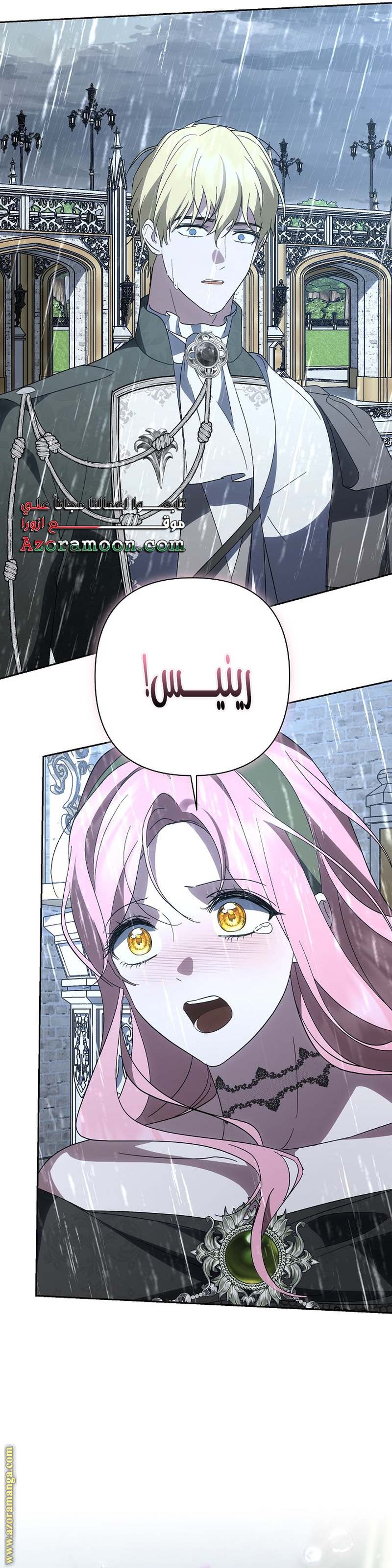 الصفحة 29