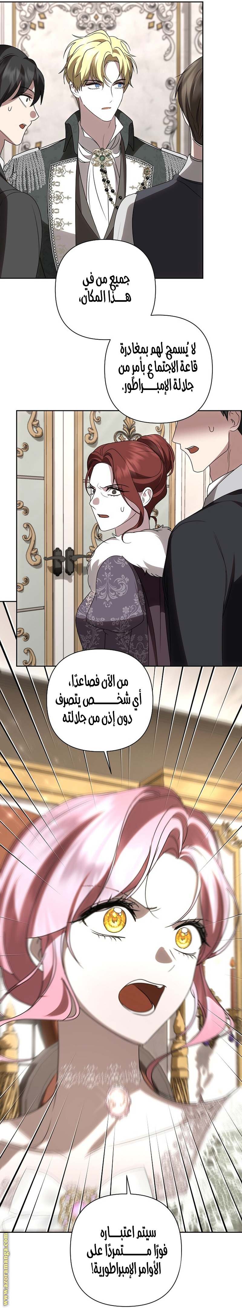 الصفحة 13