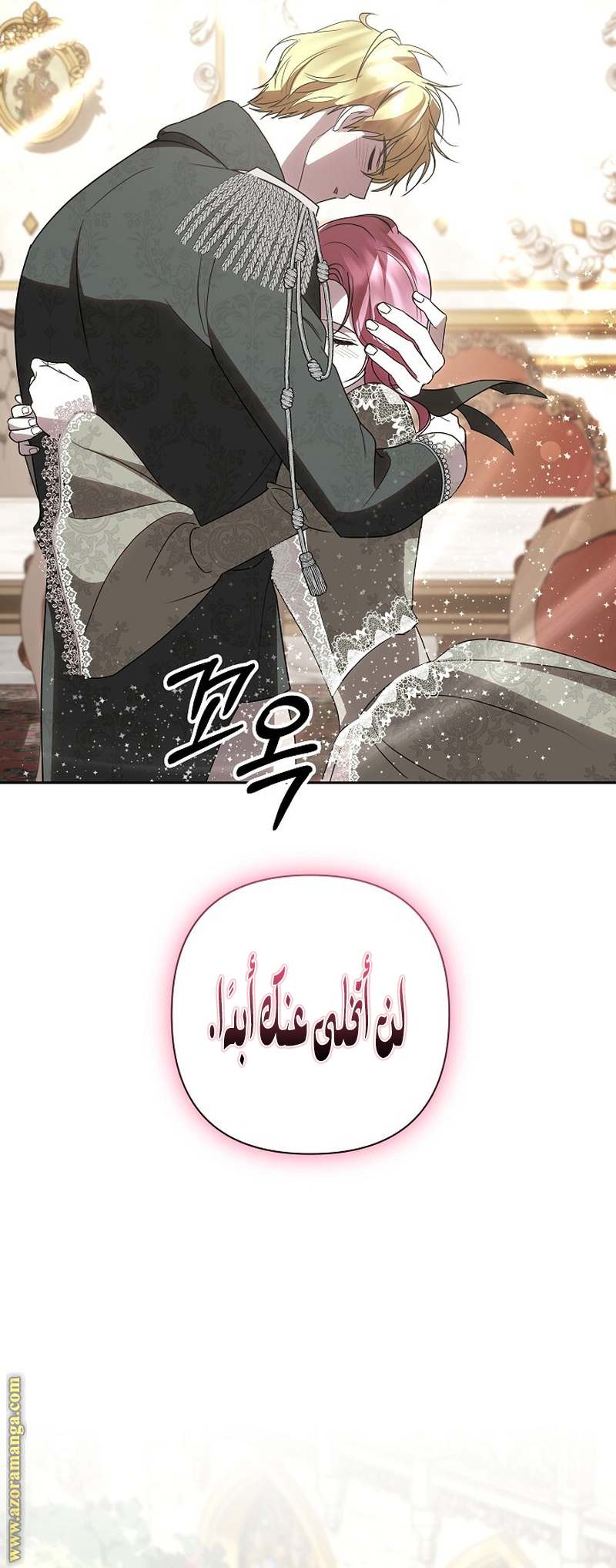 الصفحة 41